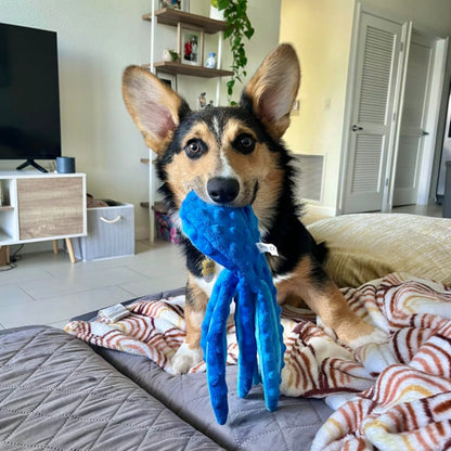 Juguete pulpo resistente a la mordida