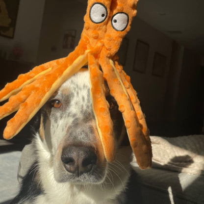 Juguete pulpo resistente a la mordida